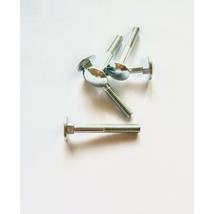 Kapupánt csavar  M 6x45 (50 db)