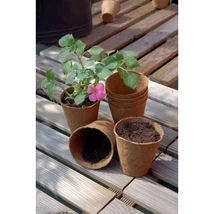 GROWING POTS tőzegcserép 24 db