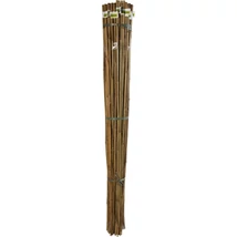 BAMBOO bambusz termesztő karó 150cm / 6db/köteg