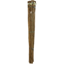 BAMBOO bambusz termesztő karó 150cm / 6db/köteg