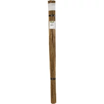 BAMBOO bambusz termesztő karó 180cm