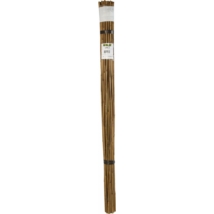 BAMBOO bambusz termesztő karó 180cm / 6db/köteg