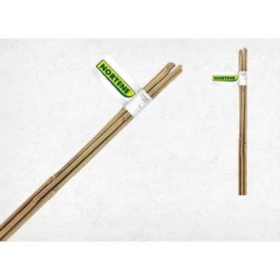 BAMBOO bambusz termesztő karó 60cm (6db)