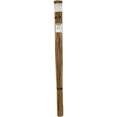 BAMBOO bambusz termesztő karó 180cm