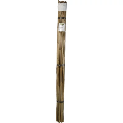 BAMBOO bambusz termesztő karó 210cm / 6db/köteg