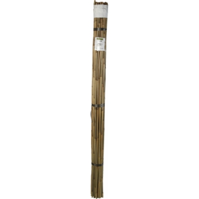 BAMBOO bambusz termesztő karó 210cm / 6db/köteg